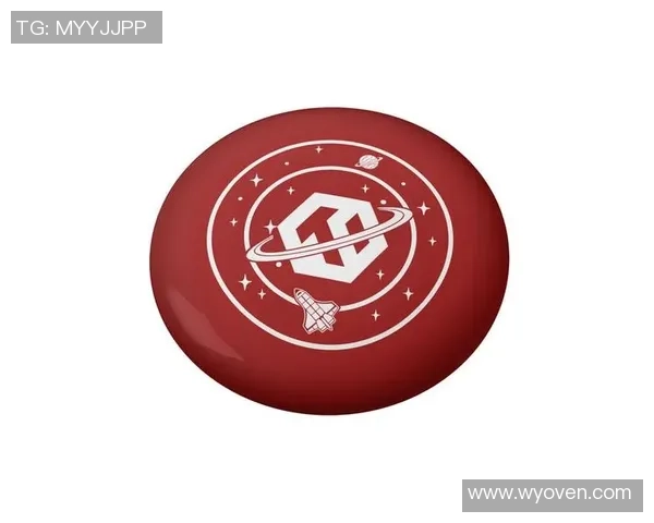 上海飞盘队运营策略深度分析与成功经验分享